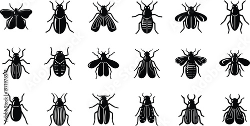 Collection of black insect with wings and antennae on white background beetle
