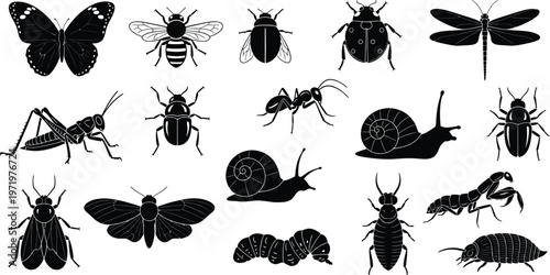 Collection of black silhouette insects and arthropods on white background butterfly beetle ladybug