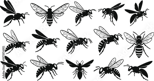 Collection of black silhouette wasp insects in various poses and orientations white