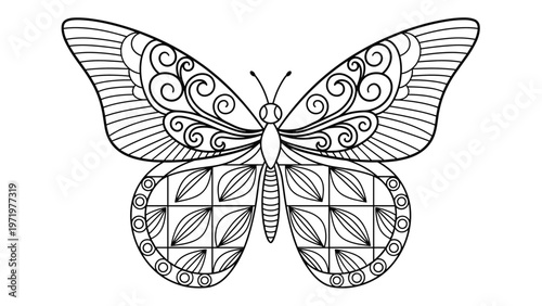 Intricate butterfly line art features delicate swirls and geometric patterns on wings providing a beautiful subject for creative coloring pages.