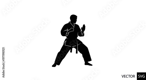 Karate fighter silhouette, martial arts pose, black and white, isolated on white
