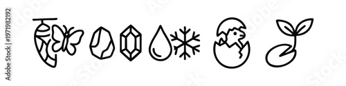 Nature and Life Cycle Outline Icons Set