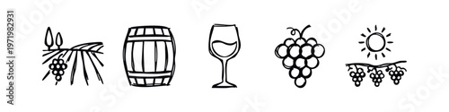 Hand-drawn icons depicting the winemaking process: vineyard, wine barrel, glass, grapes, and sun-kissed vines.