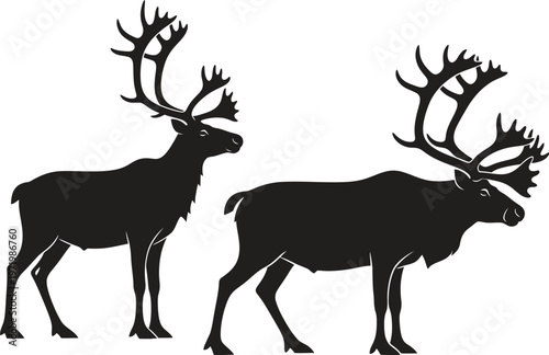 Two majestic moose with impressive antlers standing side by side in a serene natural setting
