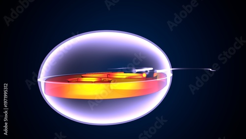 Chlamydomonas insect anatomy. 3d illustrations