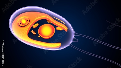 Chlamydomonas insect anatomy. 3d illustrations