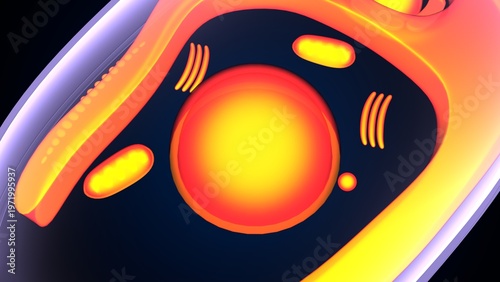 Chlamydomonas insect anatomy. 3d illustrations