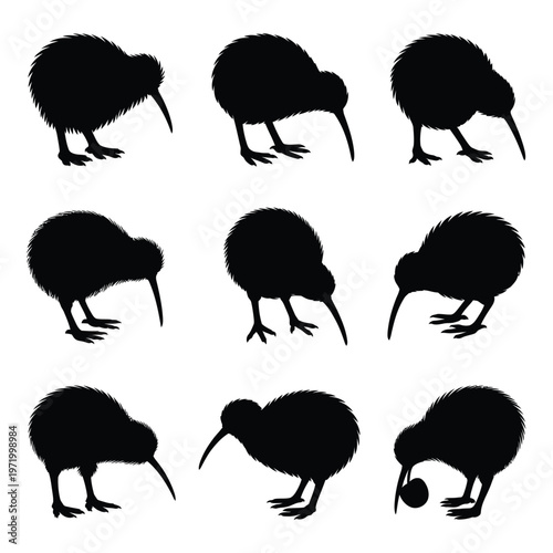 Nine kiwi silhouettes depict various poses of the flightless new zealand bird