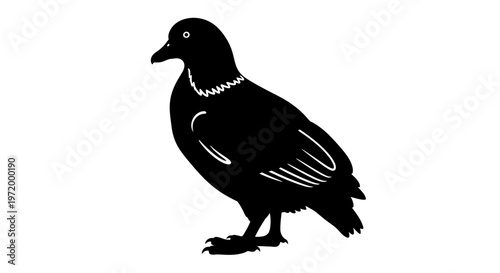 Silhouette of a duck standing on its feet isolated on a white background showcasing its distinctive patterned neck and feathered body in a clean graphic style perfect for design