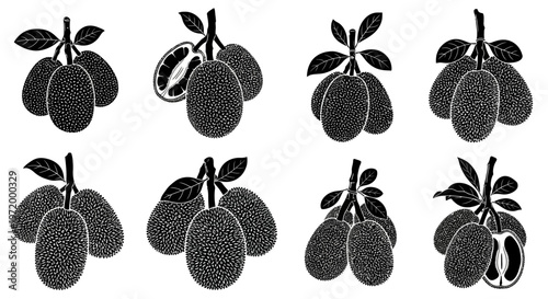 Collection of stylized black and white graphic illustrations of ripe jackfruit clusters with leaves showcasing whole fruits and a cut fruit revealing its interior isolated