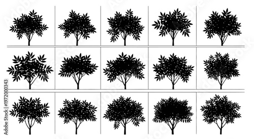 Collection of silhouetted deciduous trees in various shapes and sizes isolated on a white background perfect for design and illustration projects representing nature and growth
