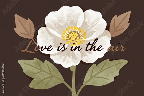 A close up of a flower on a brown background