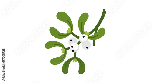 Mistletoe Sprig Vector Illustration with White Berries and Green Leaves, Flat Design for Christmas Holiday Season Greetings and Festive Winter Celebration