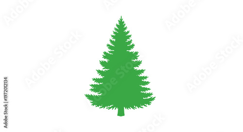 Green Pine Tree Silhouette Isolated on White Background