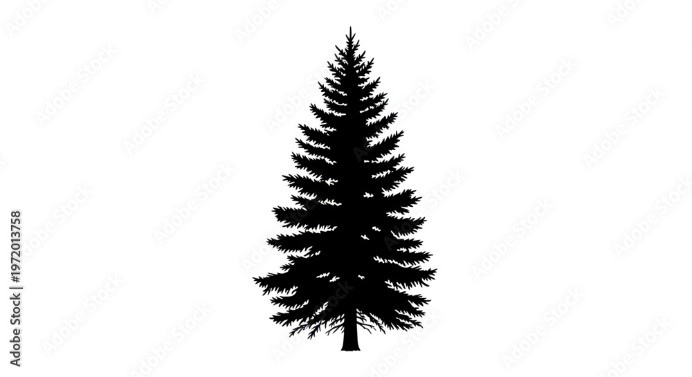 Fototapeta premium Black silhouette of a tall pine tree, isolated on white background