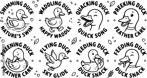 Flat design black duck silhouettes in varied poses six icons side view and flying and preening simple bold composition vector