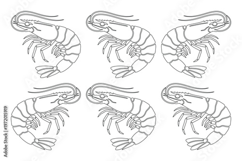 新鮮なエビのモノクロ線画イラストセット。シーフードレストランのメニューや水産加工品のパッケージデザインに最適な、シンプルで洗練された6匹の海老のベクター素材。