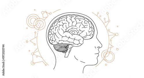 Profile outline of a human head with a visible brain surrounded by technical lines and circles representing neurology and artificial intelligence.