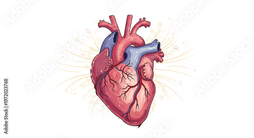 Detailed anatomical heart illustration in shades of red and blue with delicate floral line work and golden sparkles on a plain white background.