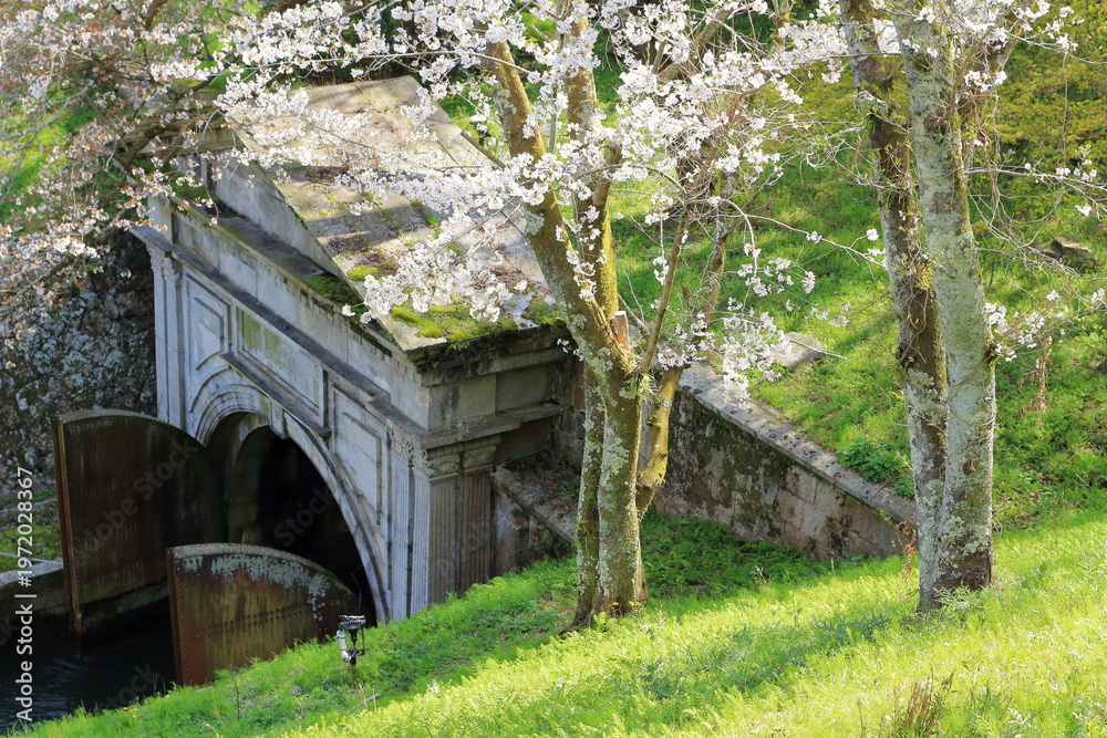 Naklejka premium 琵琶湖疎水のトンネル東口の春の風景