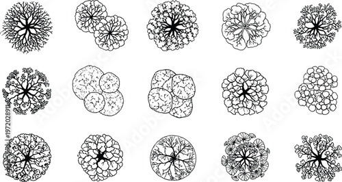Set of abstract tree canopy top view vector illustrations, detailed circular foliage shapes, organic nature patterns, botanical design elements isolated on background