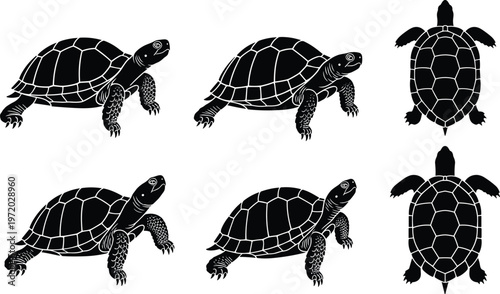 Set of turtle silhouettes in multiple angles including top and side views representing reptile wildlife, aquatic animals, and nature illustration collection