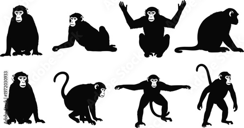 Collection of monkey silhouettes in various poses representing wildlife animals, primate behavior, and nature illustration isolated on white background