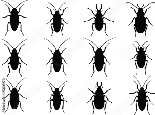 Collection of twelve diverse beetle insect silhouettes showcasing unique shapes, horns, antennae, and body structures on white background