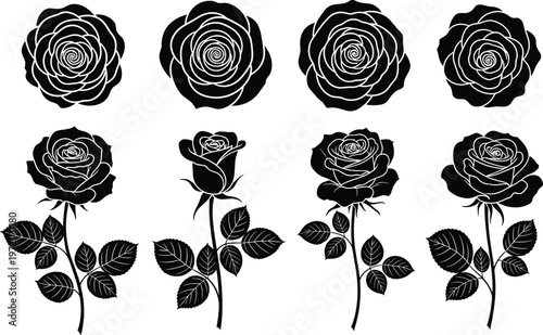 Elegant black and white rose silhouettes collection with floral patterns, botanical illustrations, stems, leaves, thorns for design