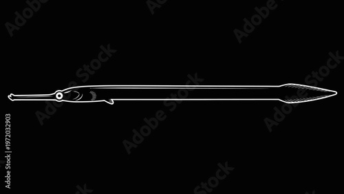 Silhouette of a Needlefish with a Spear-like Head and Long Body on Black Background