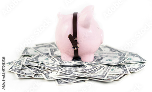 Dollar notes with a pink piggy bank