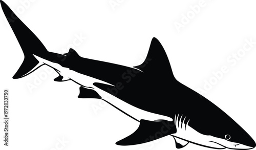 Black and white shark illustration showing streamlined body, dorsal fin, tail fin and anatomy silhouette for marine design