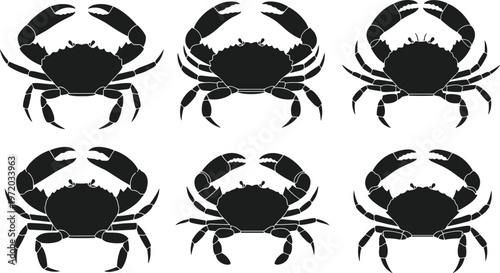 Crab silhouettes vector set, detailed sea crustacean collection with different poses, marine animal design elements isolated on clean background