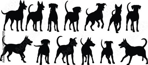 Collection of dog silhouettes in various poses representing domestic animals, pet behavior, and canine activity isolated on white background