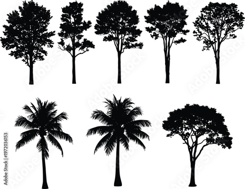 Collection of tree silhouettes including tropical palms and deciduous varieties representing landscape design, forest vegetation, and nature elements isolated on white background