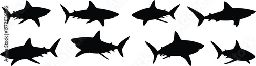 Shark silhouettes vector set, various ocean predator fish shapes isolated, marine wildlife icons for underwater design and sea life projects