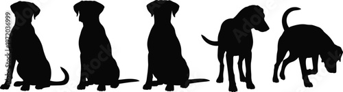 Silhouettes of five dogs in different poses including sitting, standing, and sniffing positions on white background