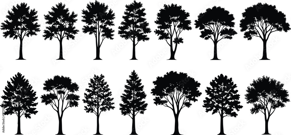 Fototapeta premium Tree silhouette collection with various forest species shapes, black and white nature vector set isolated for landscape and design use