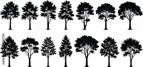 Tree silhouette collection with various forest species shapes, black and white nature vector set isolated for landscape and design use