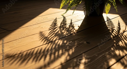 Fern leaf casts intricate shadow patterns on a sunlit wooden floor.