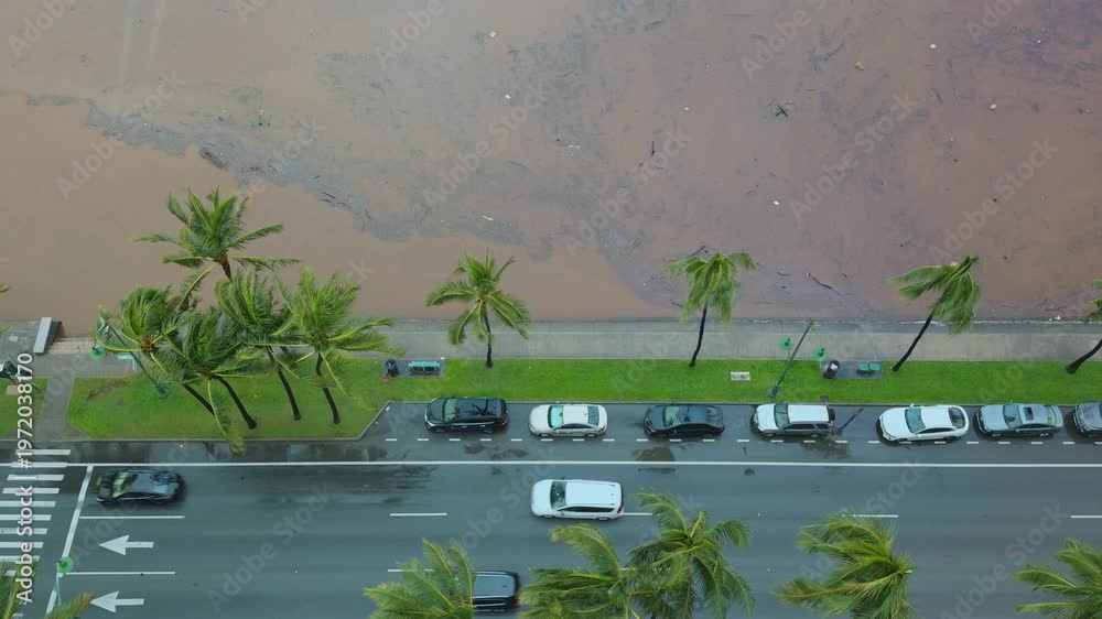 March 2026 Kona storm. Ala Wai Canal Floods after heavy rain. Waikiki ...