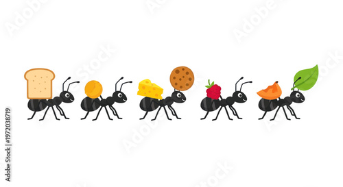 Teamwork Ants Carrying Food Items on White Background