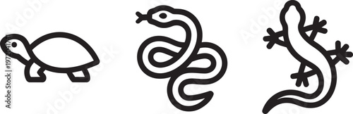 Reptile icons with a turtle, coiled snake, and lizard, representing diverse species.