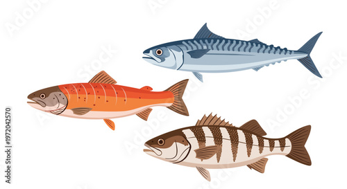 Three distinct realistically rendered fish are arranged diagonally on a light neutral background.