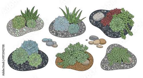 Six distinct arrangements of succulents and small stones are presented on a plain white background.