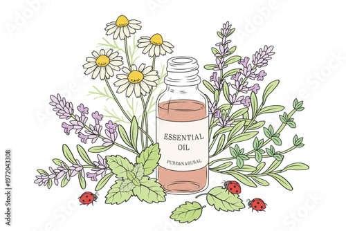 花と精油の香りに誘われて、てんとう虫がやってきた。