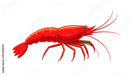 Red shrimp with long antennae shown as seafood ingredient in clean minimal illustration style vector