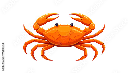 Orange crab with wide shell and claws displayed as fresh seafood item in simple illustration style vector