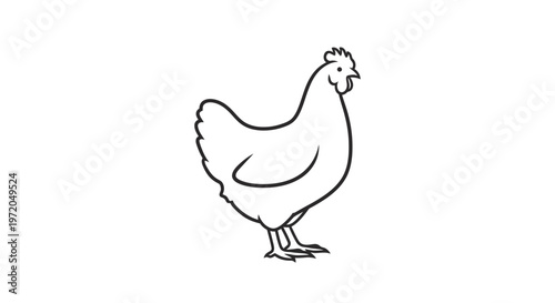 Black and white chicken drawing.