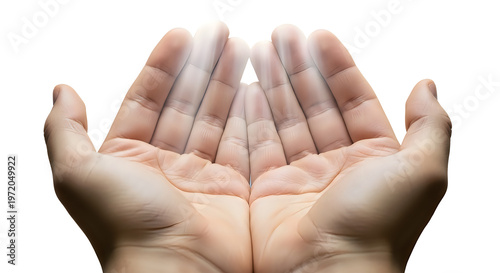 A pair of hands cupped together